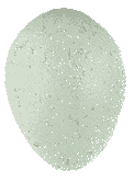 Huevo de Graja